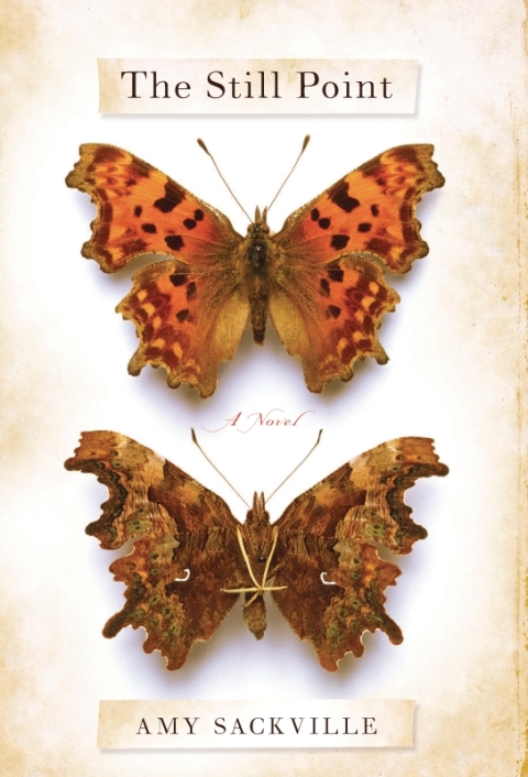 Cover image for book The Still Point