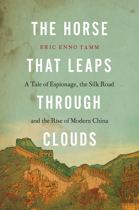 Cover image for book The Horse that Leaps Through Clouds