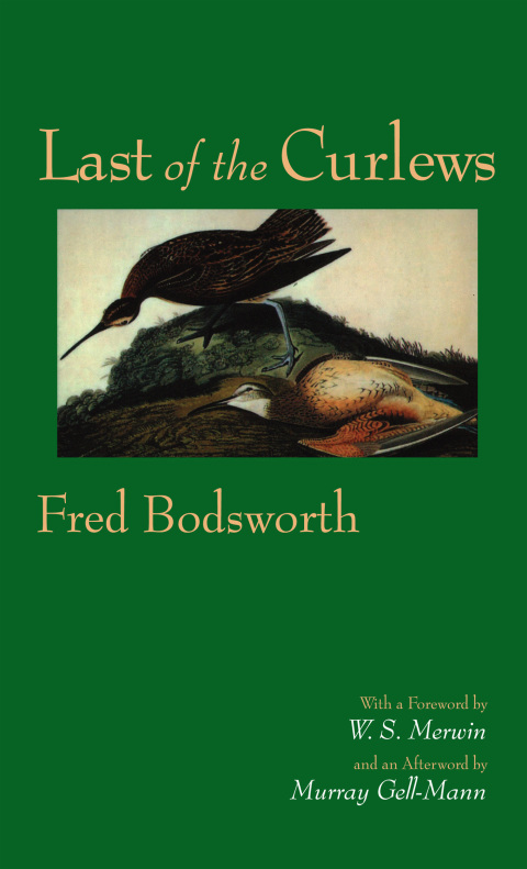 Cover image for book Last of the Curlews