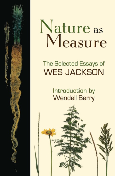 Cover image for book Nature as Measure
