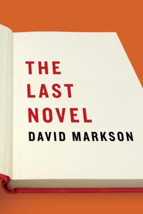 Cover image for book The Last Novel