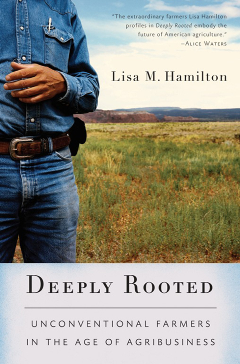 Cover image for book Deeply Rooted
