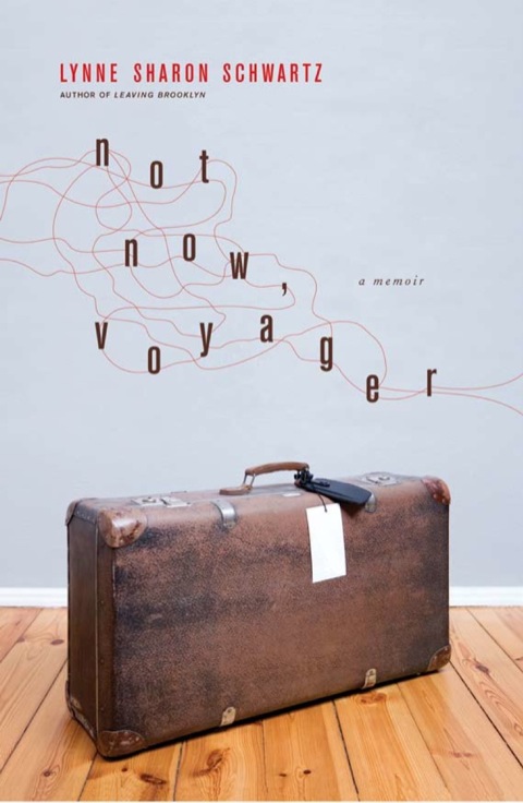 Cover image for book Not Now, Voyager