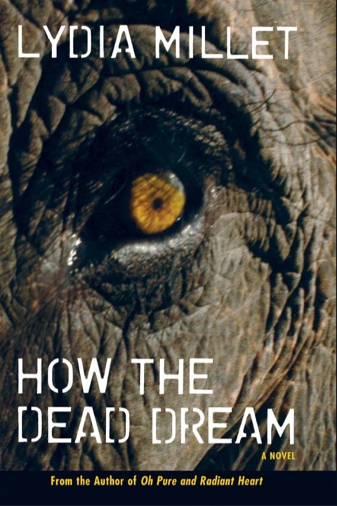 Cover image for book How the Dead Dream
