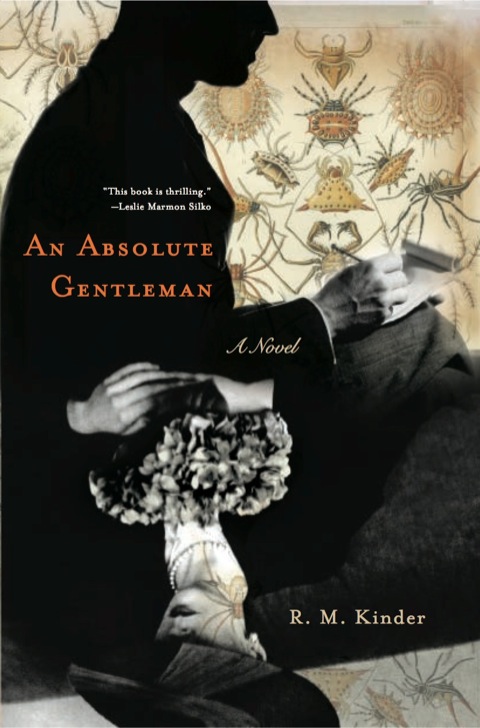 Cover image for book An Absolute Gentleman