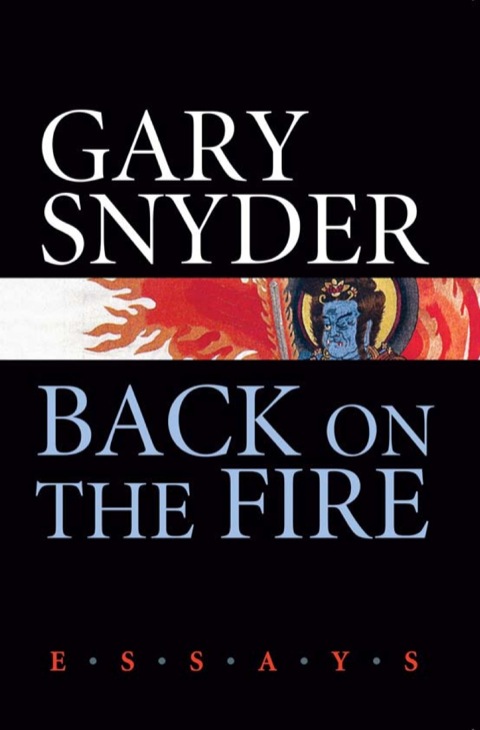 Cover image for book Back on the Fire