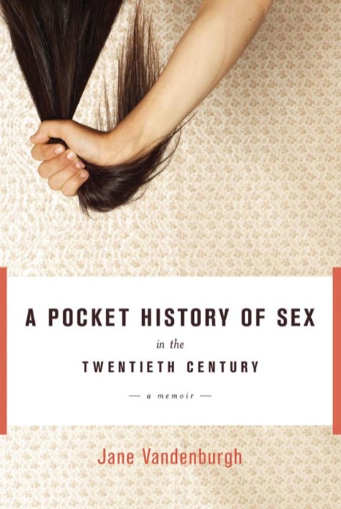 Cover image for book A Pocket History of Sex in the Twentieth Century