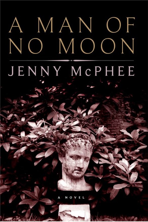 Cover image for book A Man of No Moon