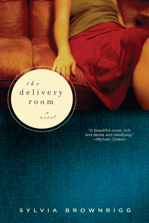 Cover image for book The Delivery Room