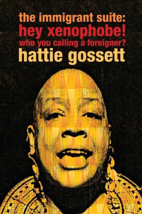 Cover image for book the immigrant suite