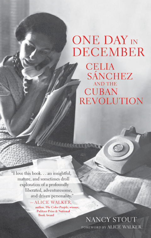 Cover image for book One Day in December