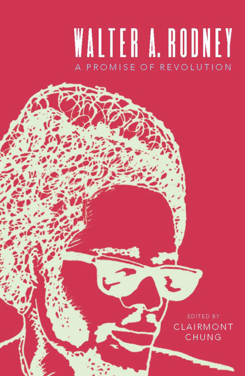Cover image for book Walter Rodney