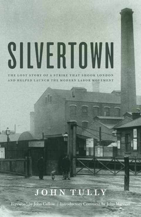 Cover image for book Silvertown