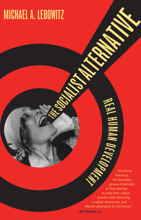 Cover image for book The Socialist Alternative