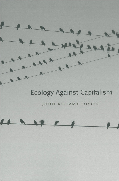 Cover image for book Ecology Against Capitalism