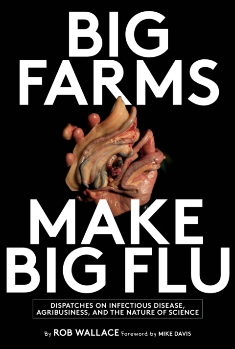 Cover image for book Big Farms Make Big Flu