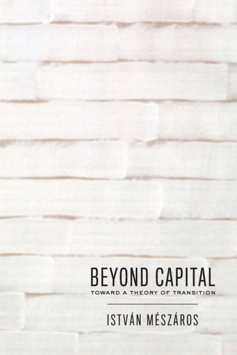 Cover image for book Beyond Capital