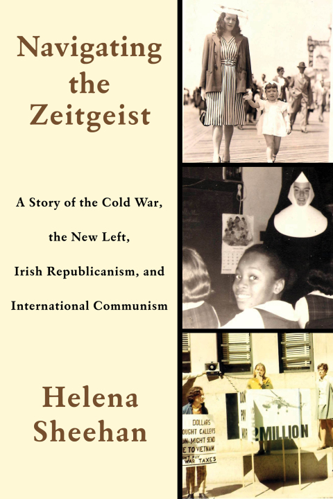 Cover image for book Navigating the Zeitgeist