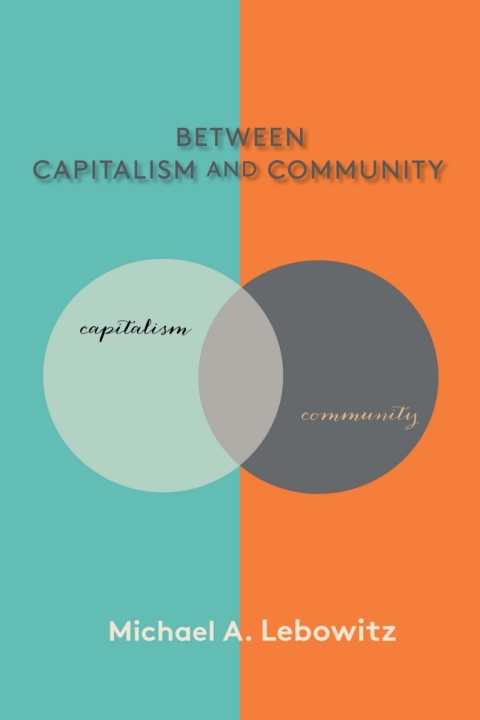 Cover image for book Between Capitalism and Community