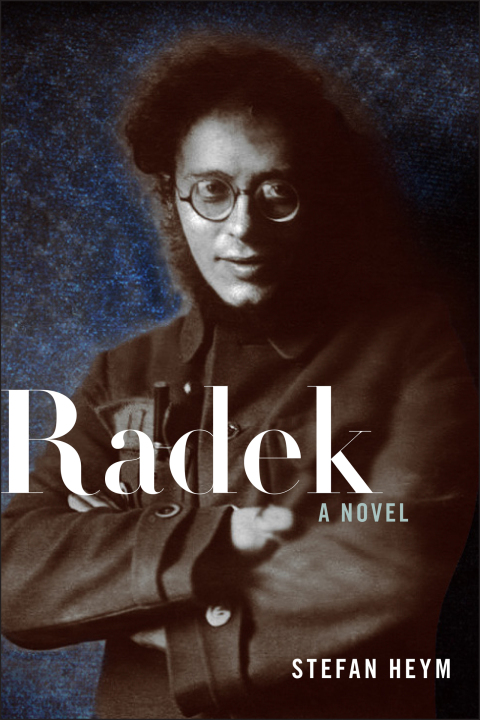 Cover image for book Radek