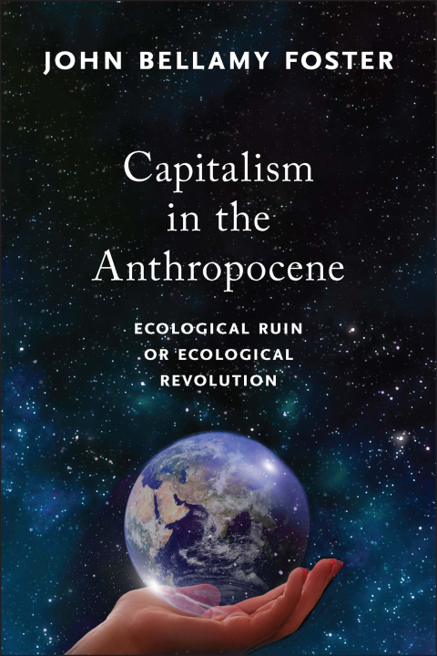 Cover image for book Capitalism in the Anthropocene