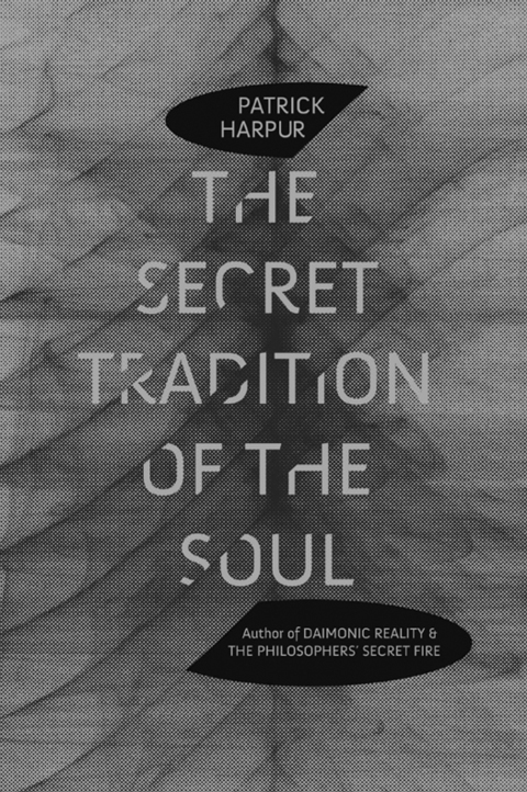 Cover image for book The Secret Tradition of the Soul
