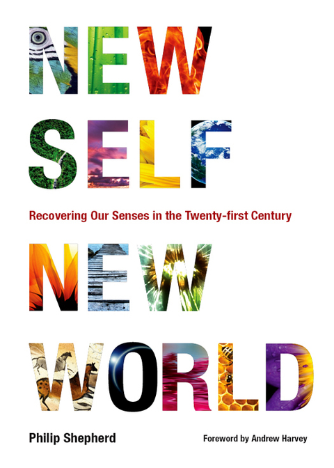 Cover image for book New Self, New World