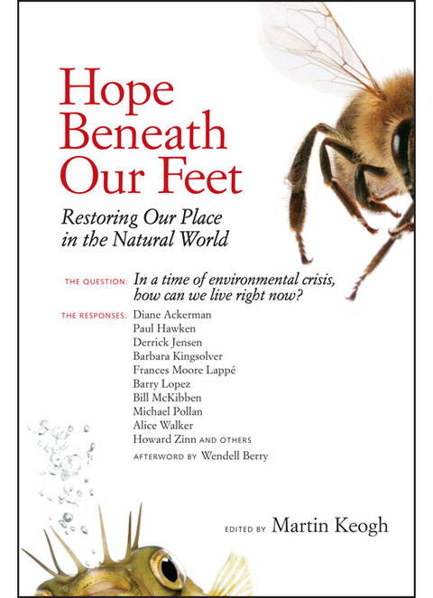 Cover image for book Hope Beneath Our Feet