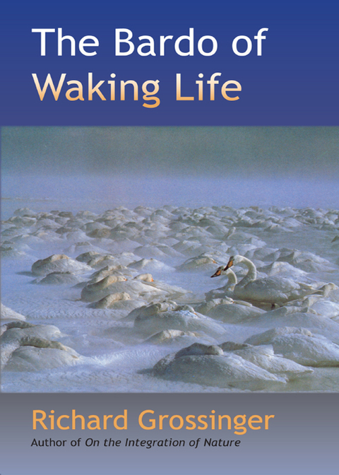 Cover image for book The Bardo of Waking Life