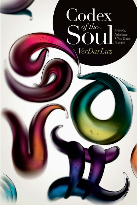 Cover image for book Codex of the Soul