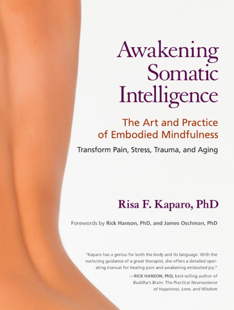 Cover image for book Awakening Somatic Intelligence