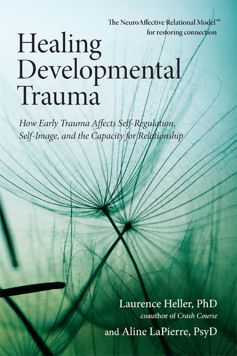 Cover image for book Healing Developmental Trauma
