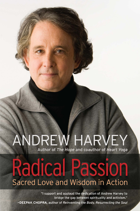 Cover image for book Radical Passion