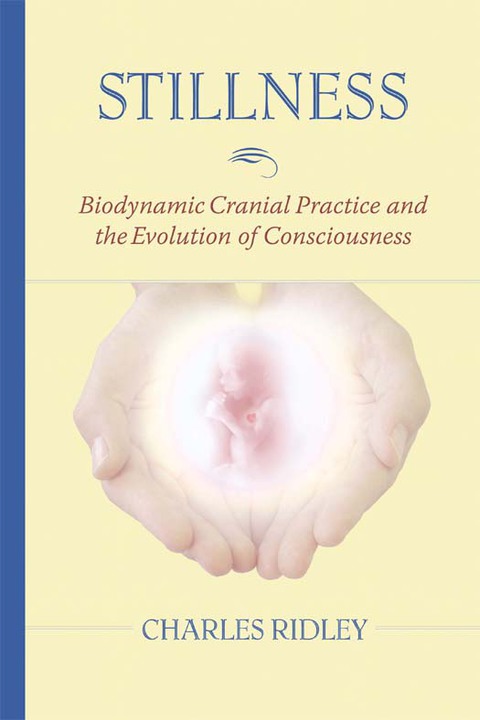 Cover image for book Stillness
