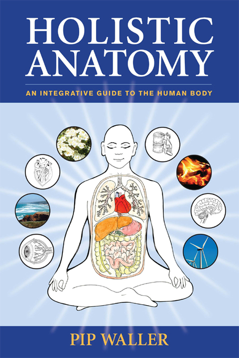 Cover image for book Holistic Anatomy