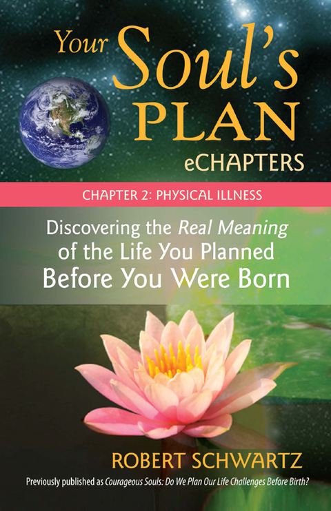 Cover image for book Your Soul's Plan eChapters - Chapter 2: Physical Illness