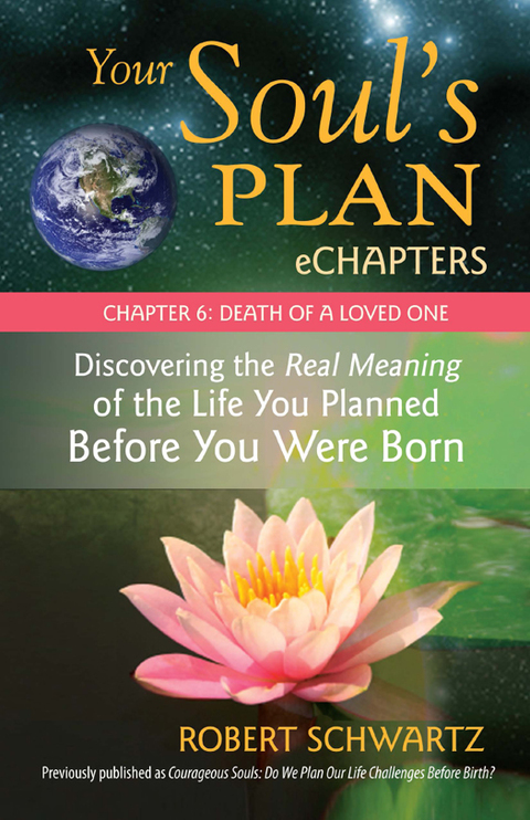 Cover image for book Your Soul's Plan eChapters - Chapter 6: Death of a Loved One