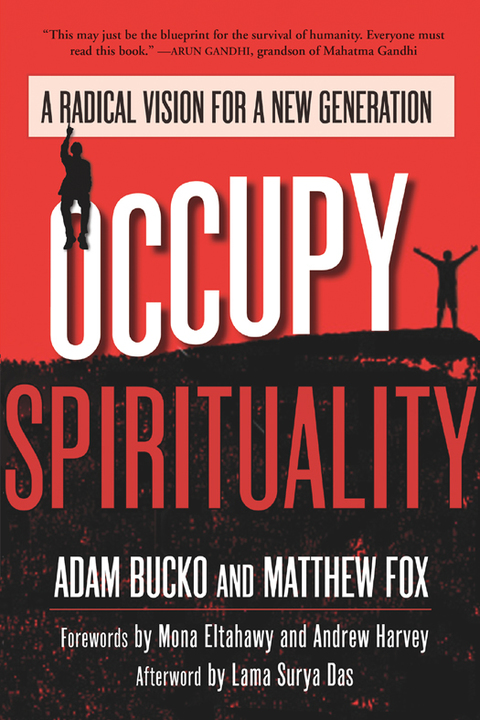 Cover image for book Occupy Spirituality
