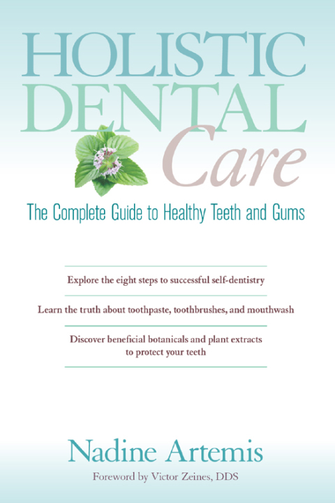 Cover image for book Holistic Dental Care