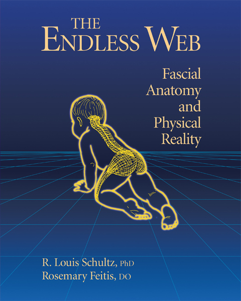 Cover image for book The Endless Web