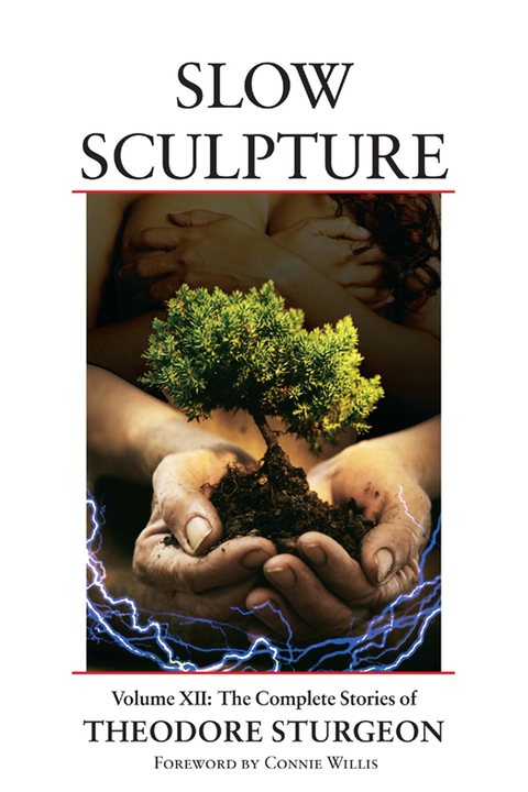 Cover image for book Slow Sculpture