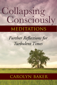 Cover image: Collapsing Consciously Meditations 9781583947128