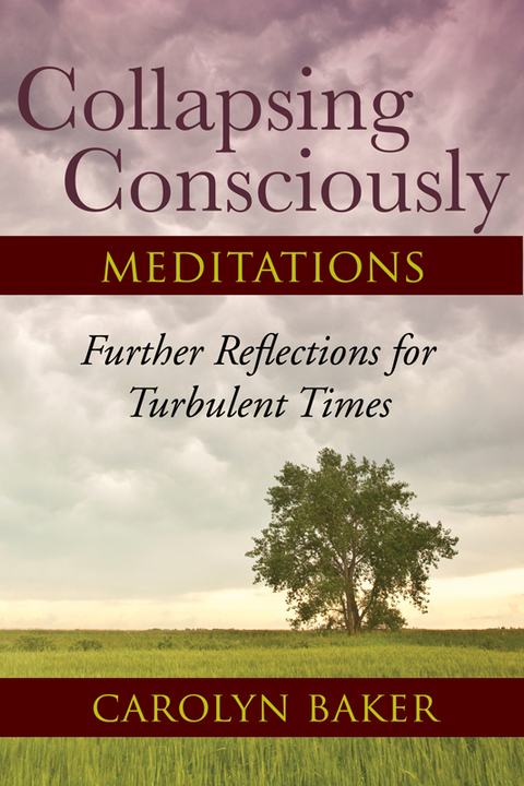 Cover image for book Collapsing Consciously Meditations