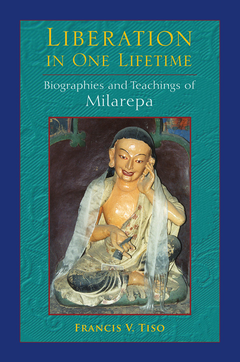 Cover image for book Liberation in One Lifetime