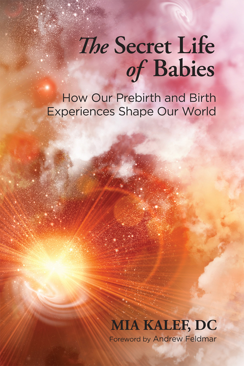 Cover image for book The Secret Life of Babies