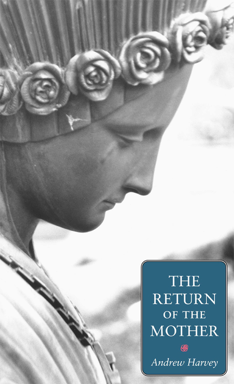 Cover image for book The Return of the Mother