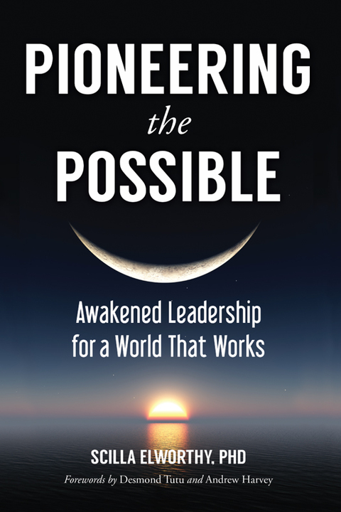 Cover image for book Pioneering the Possible