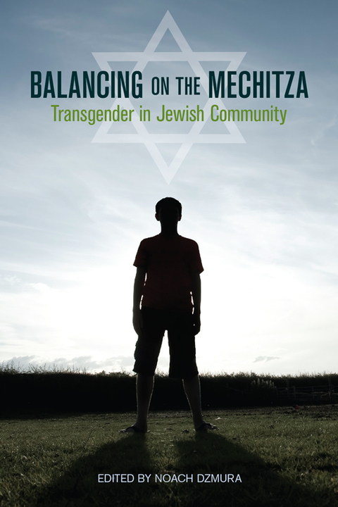 Cover image for book Balancing on the Mechitza