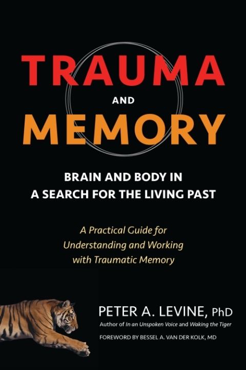 Cover image for book Trauma and Memory