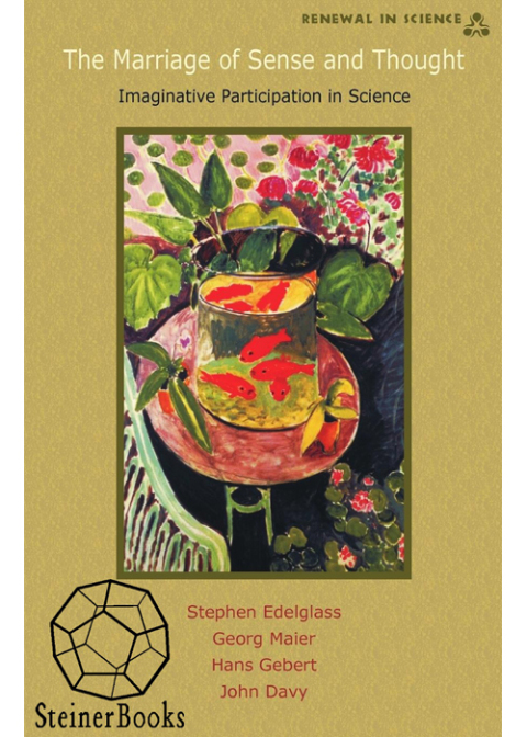 Cover image for book The Marriage of Sense and Thought